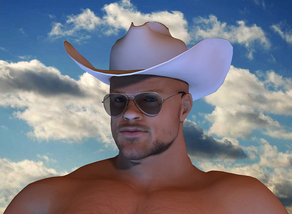 shirtless cowboy wearing sunglasses